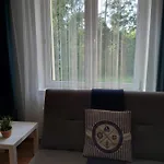 Wypoczynkowo Stegna